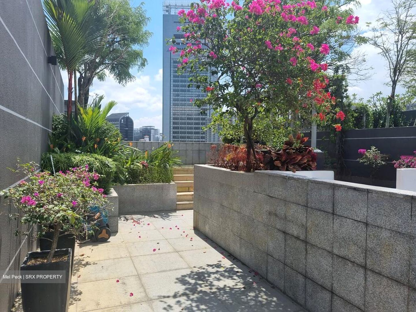 Residences @ Killiney (D9), Apartment #460176451